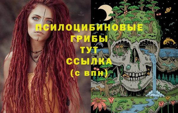 mix Абаза