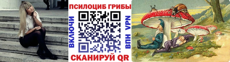 Псилоцибиновые грибы мицелий Казань