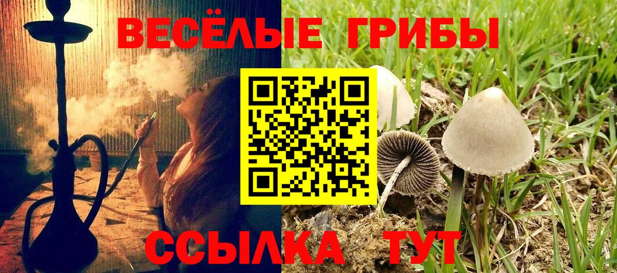 Казань  Псилоцибиновые грибы MAGIC MUSHROOMS  Вход с VPN 