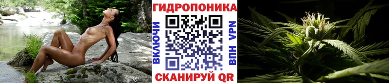 МАРИХУАНА конопля Казань